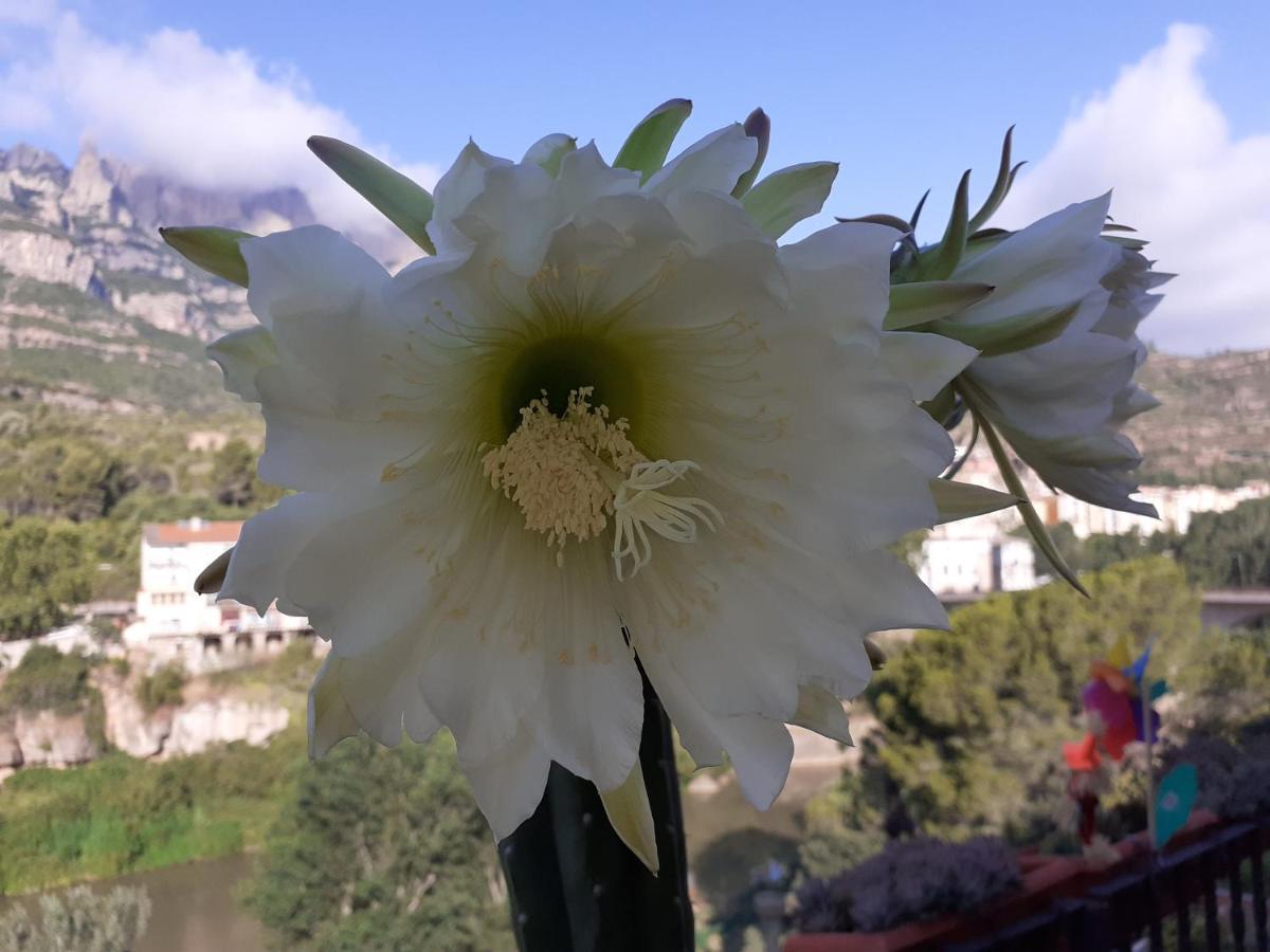 Piso Con Desayuno Incluido Y Vistas A La Montana. Apartman Monistrol de Montserrat Kültér fotó
